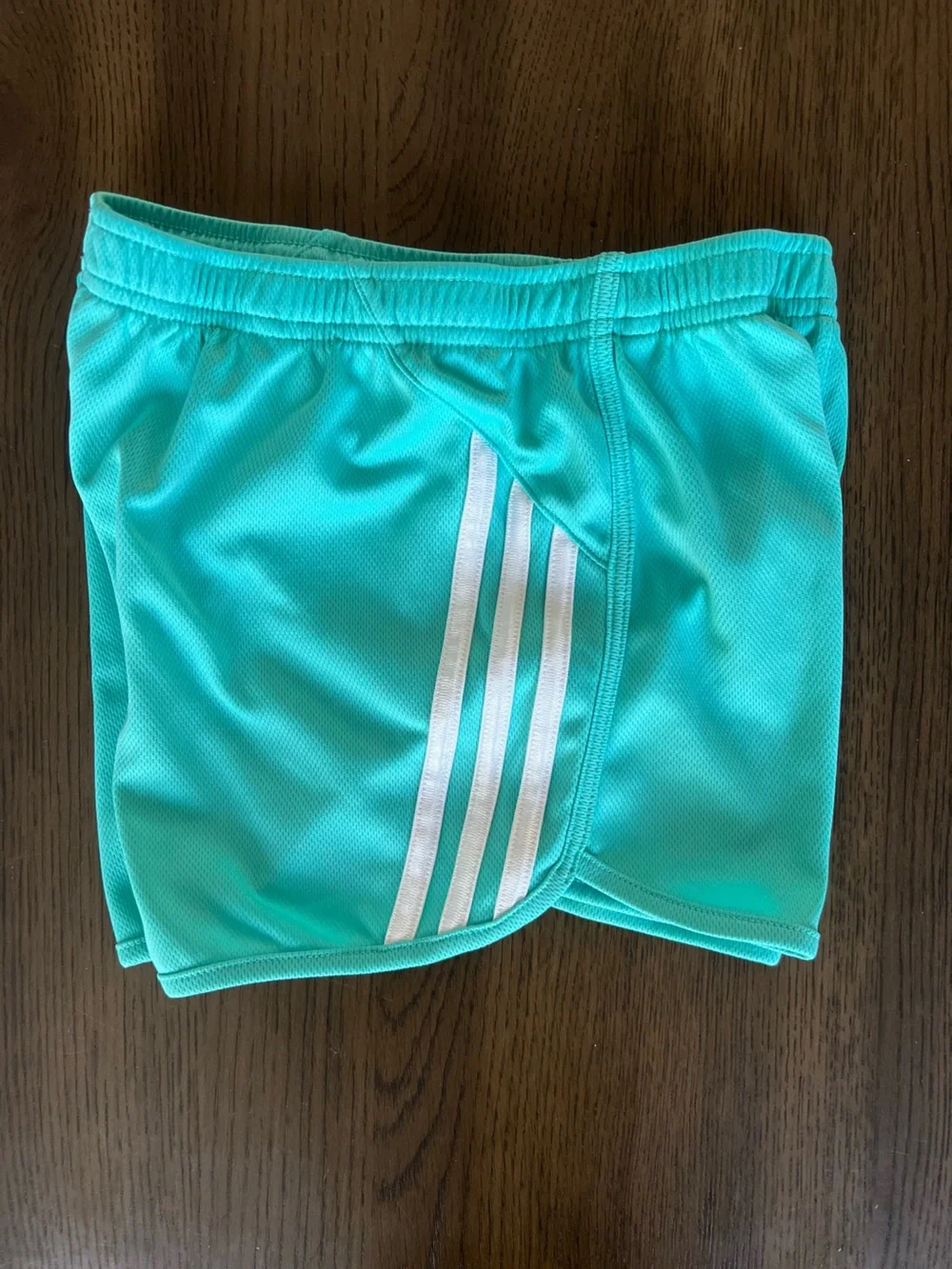 Girls Outfit: Aqua Adidas Shorts and Pink In Motion Top